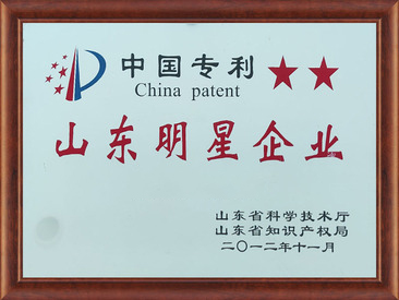 山東明星企業